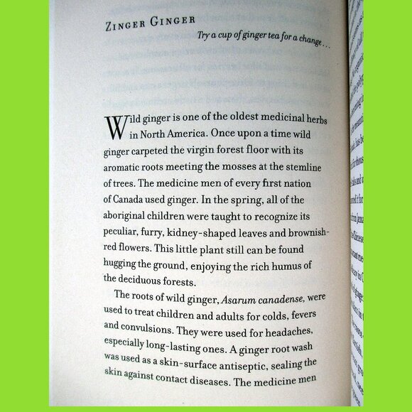 Book: The Sweetness of a Simple Life, by Diana Beresford-Kroeger (Essays) - Picture 7 of 13